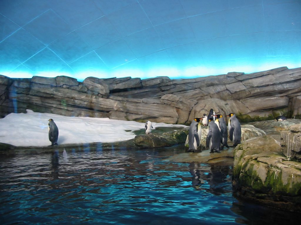 Arctic Penguin Dome, Berlin Zoological Garden